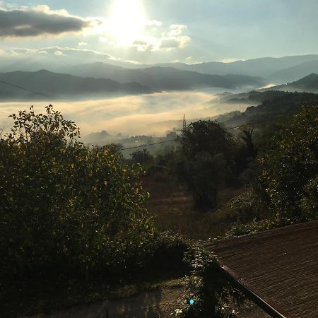 Il Mugello B&B Vicchio Exteriör bild