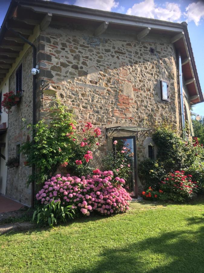 Il Mugello B&B Vicchio Exteriör bild