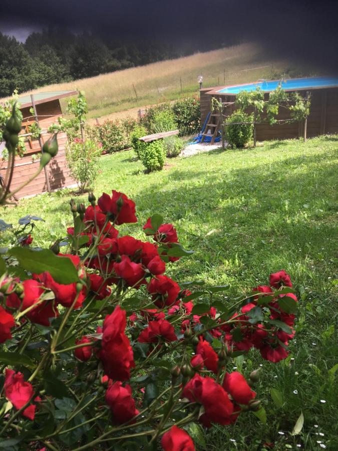 Il Mugello B&B Vicchio Exteriör bild