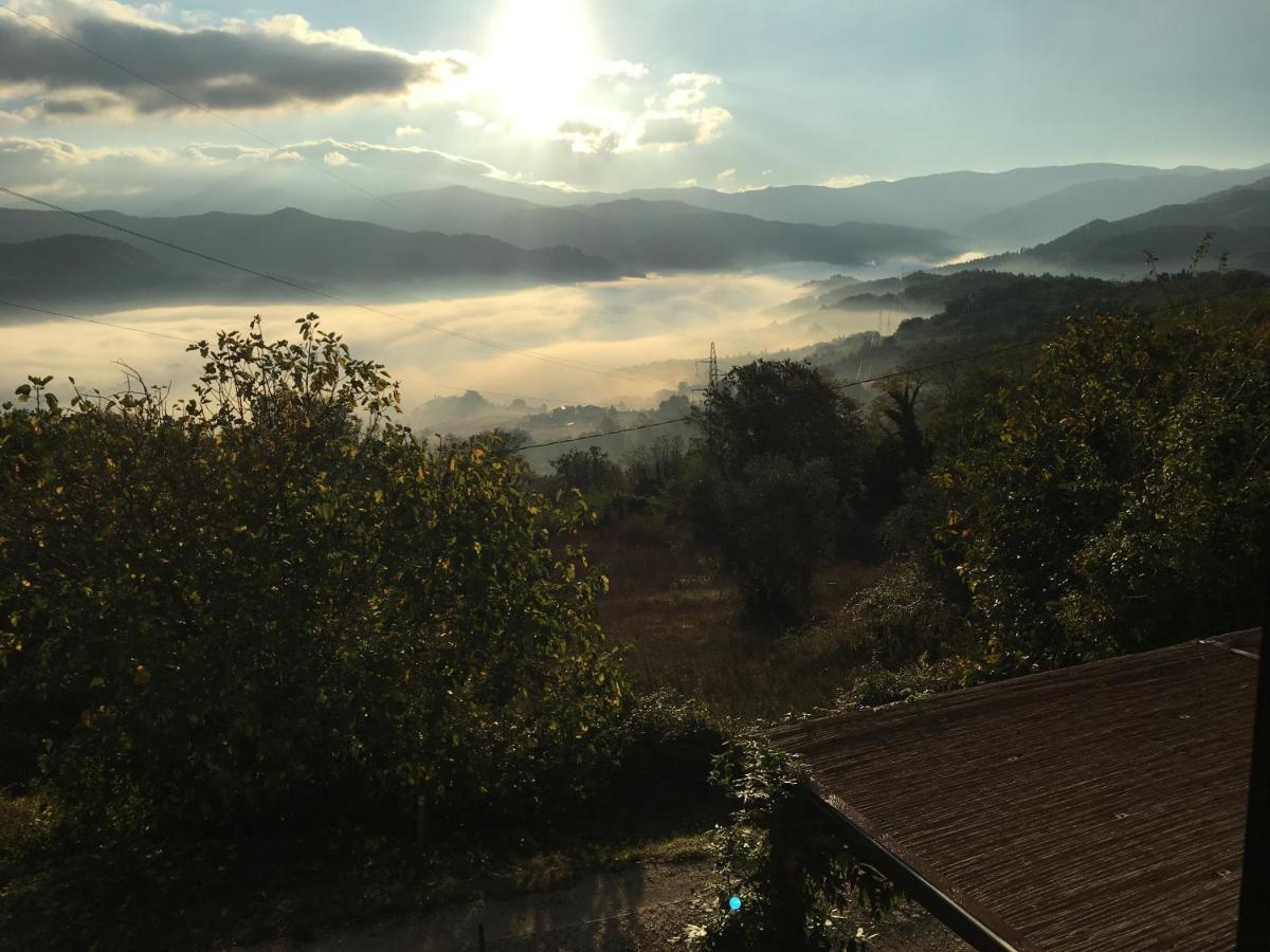 Il Mugello B&B Vicchio Exteriör bild
