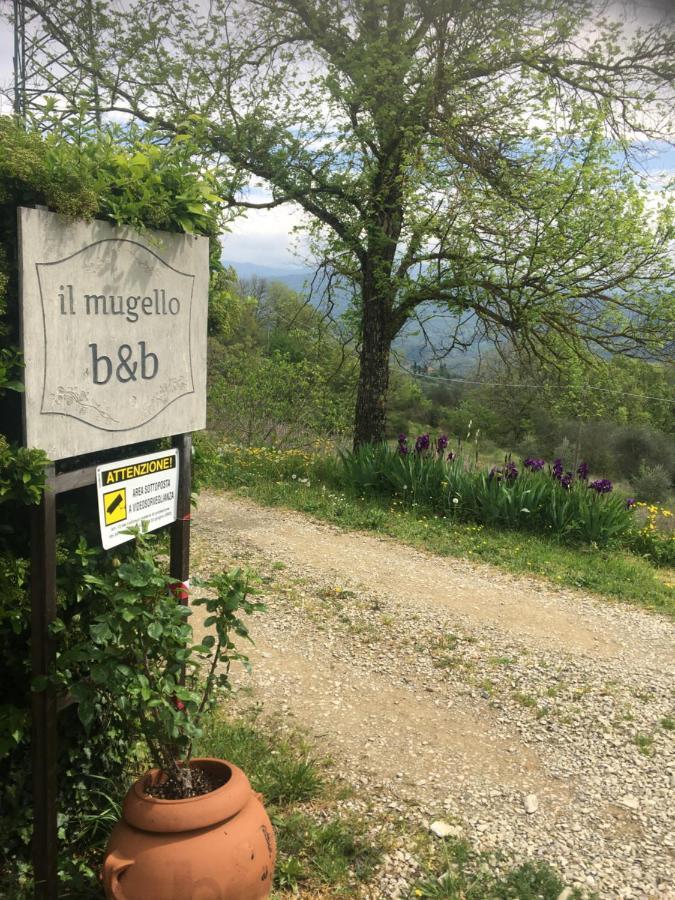 Il Mugello B&B Vicchio Exteriör bild