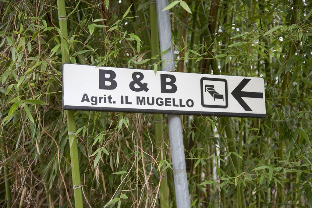Il Mugello B&B Vicchio Exteriör bild