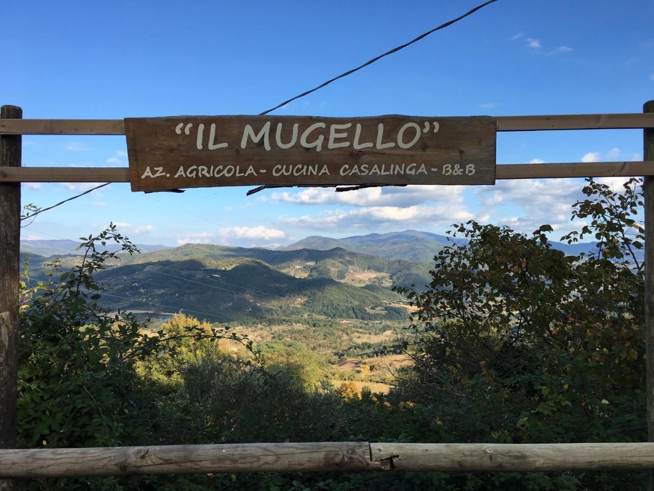 Il Mugello B&B Vicchio Exteriör bild