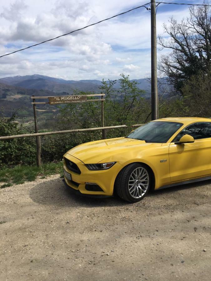 Il Mugello B&B Vicchio Exteriör bild