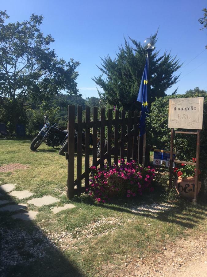 Il Mugello B&B Vicchio Exteriör bild